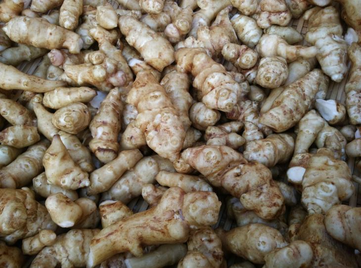 Pulbere cu inulină organică